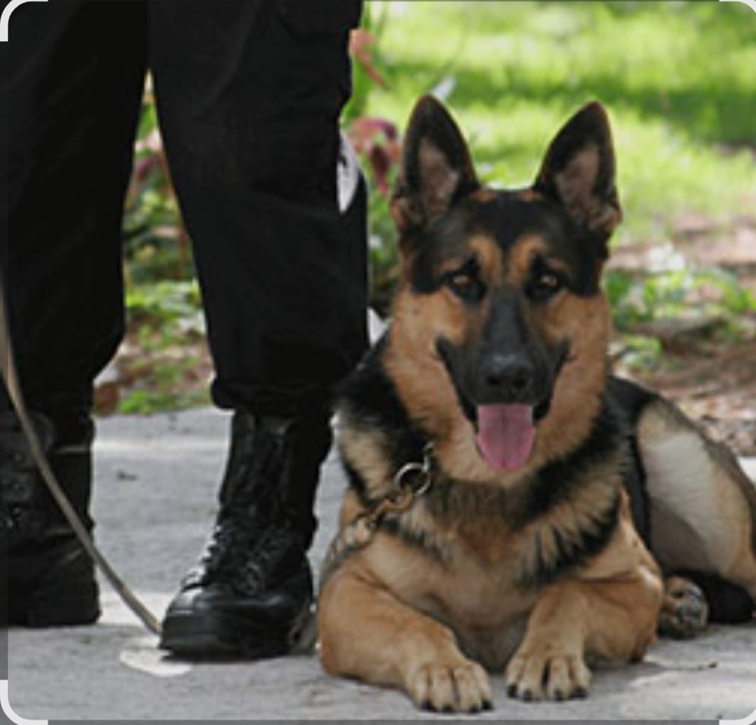 Security and staffing support
